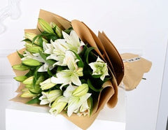 Lily Lily