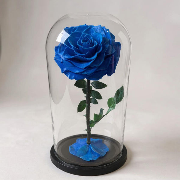 They symbolize eternal love, timeless beauty, and lasting memories, which is why they’re sometimes called forever roses.