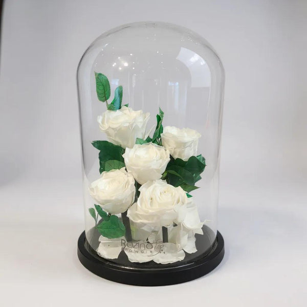 5pcs white infinity rose