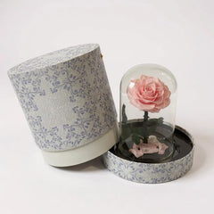 pink crystal infinity rose with box