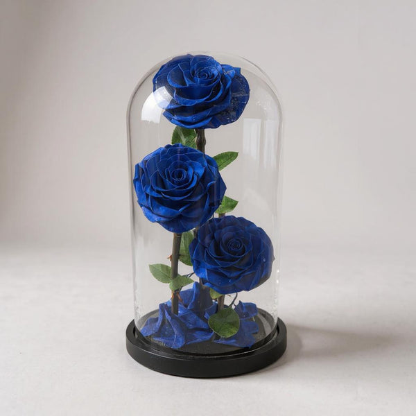 3pc dark blue infinity rose