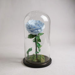 light blue infinity rose