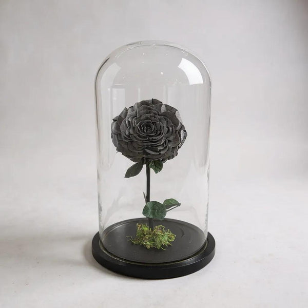 gray infinity rose