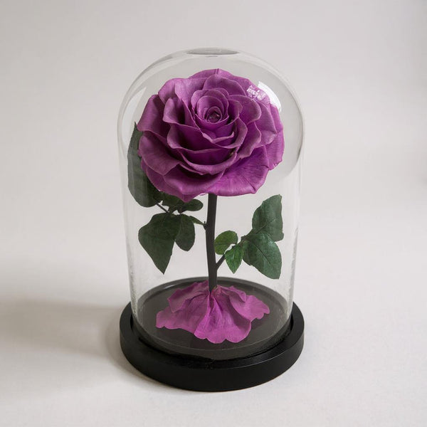 purple infinity rose