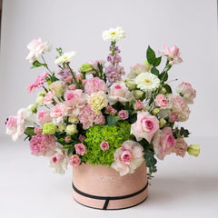 Fragrance of Imagination