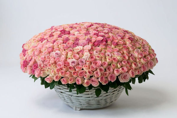 pink roses in the basket